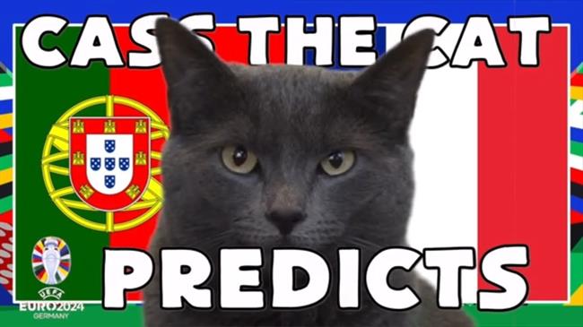 Mèo tiên tri dự đoán sốc về kết quả trận Bồ Đào Nha vs Pháp